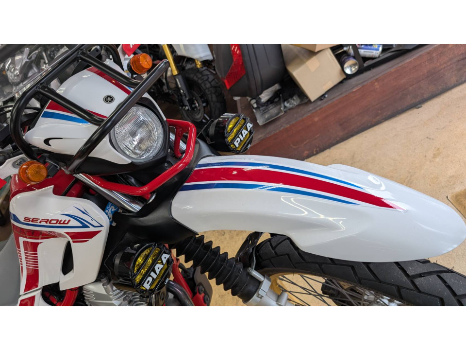 Yamaha ｾﾛｰ250 ﾌｧｲﾅﾙED — фото 25
