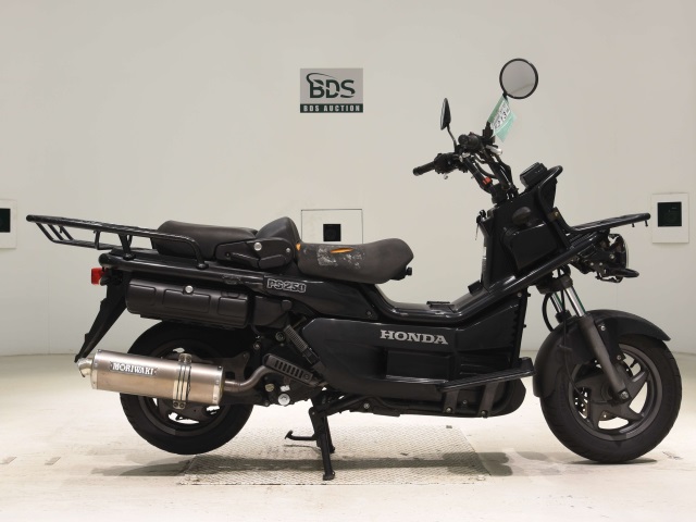 [5213] Honda PS250 BIG RUCKUS - MF09-1204290