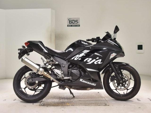 Kawasaki NINJA250