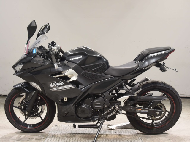 Kawasaki NINJA250 — фото 2