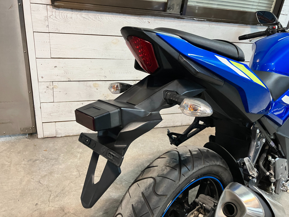 Suzuki GSX250R — фото 10