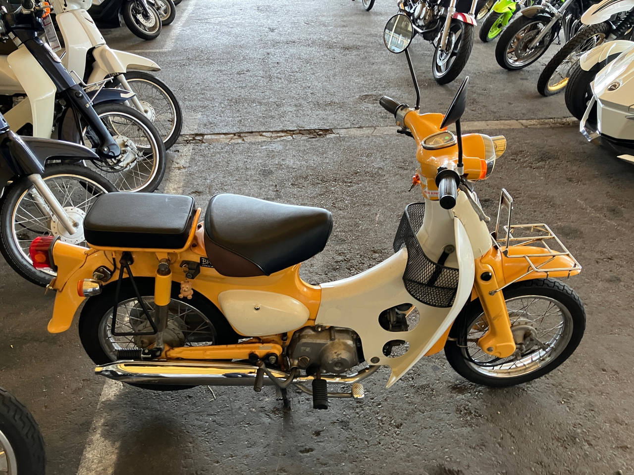 Honda LITTLECUB50