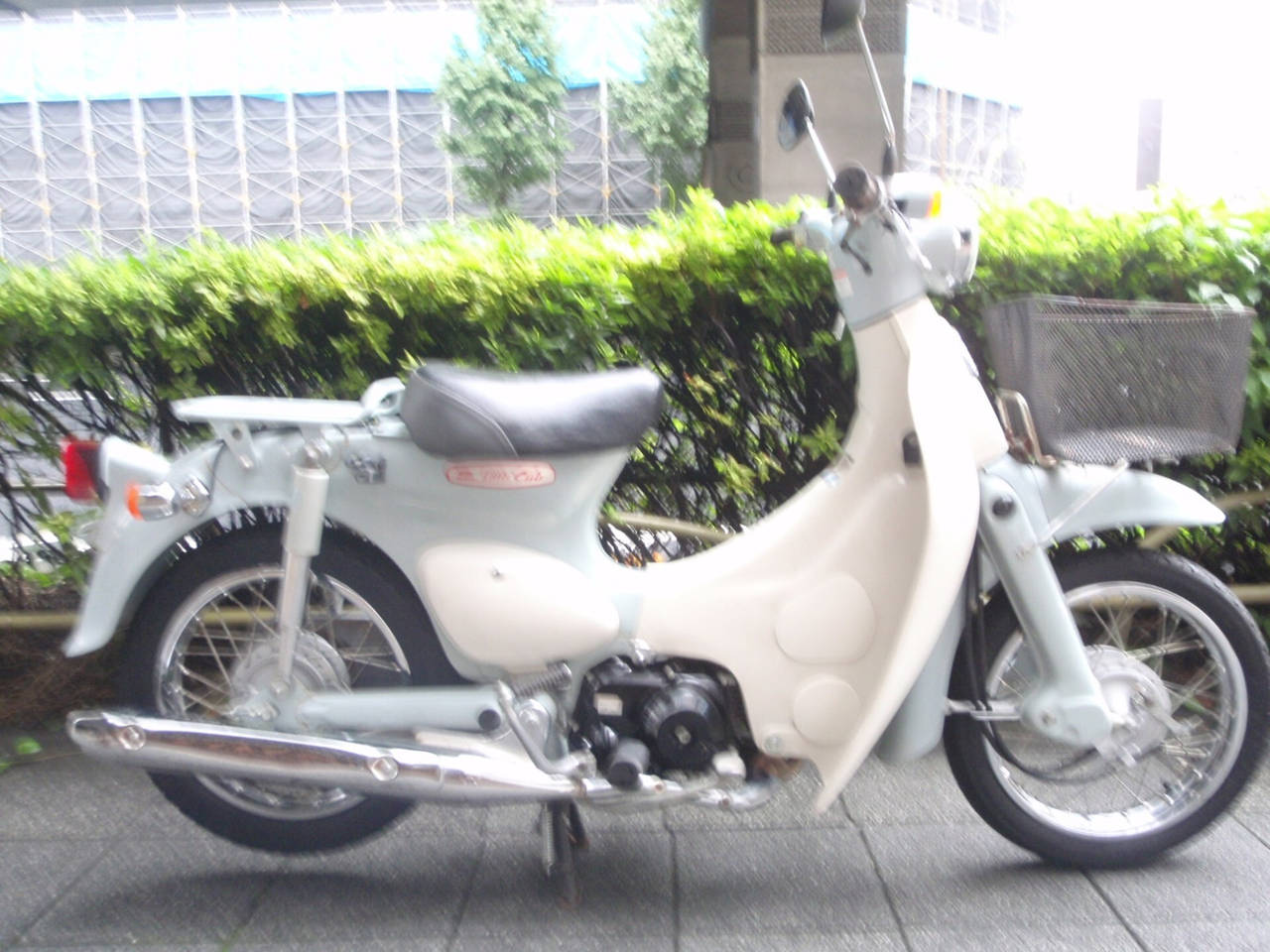 Honda LITTLE CUB CEL