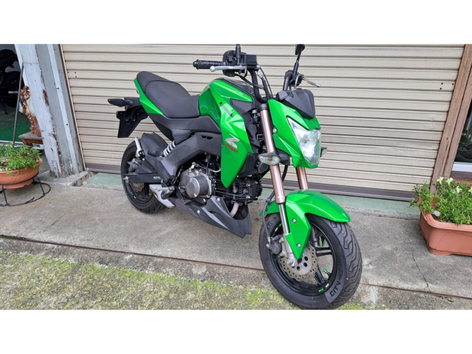 Kawasaki Z125 PRO — фото 3