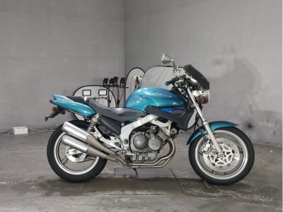 Yamaha ZEAL FZX250