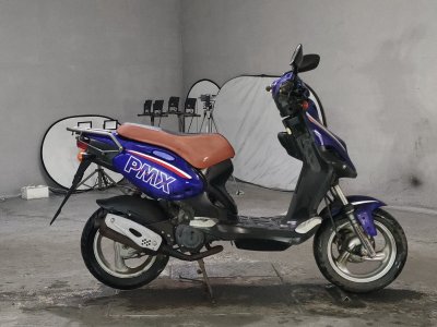 PGO PMX110
