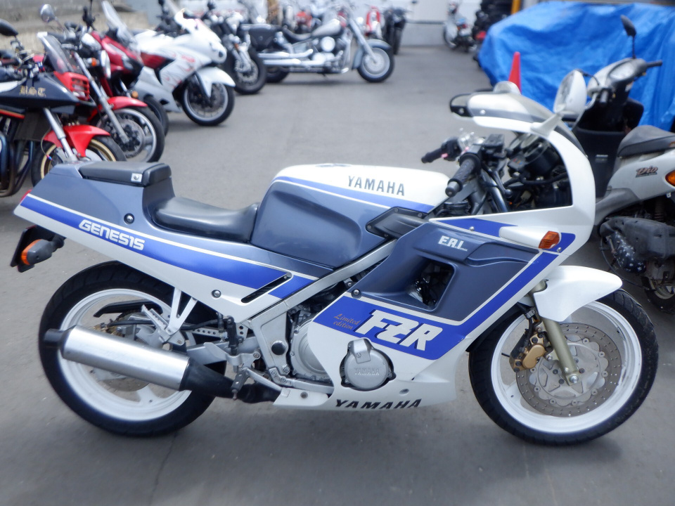 Yamaha FZR250R