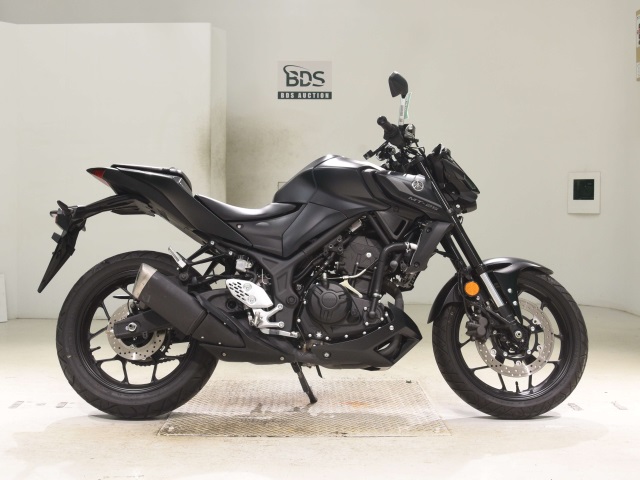Yamaha MT-25