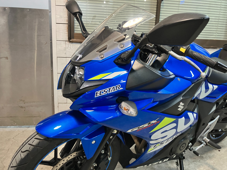 Suzuki GSX250R — фото 23