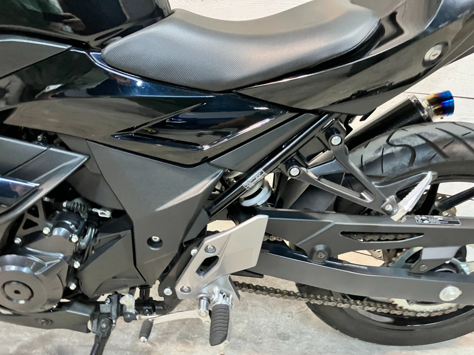 Suzuki GSX250R — фото 27