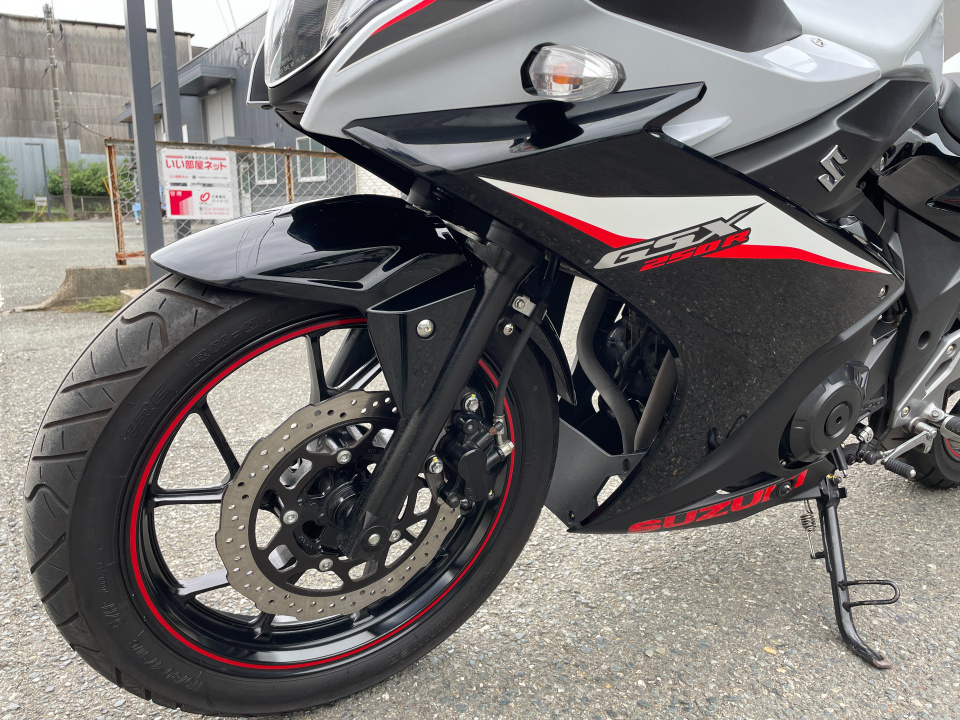 Suzuki GSX250R — фото 11