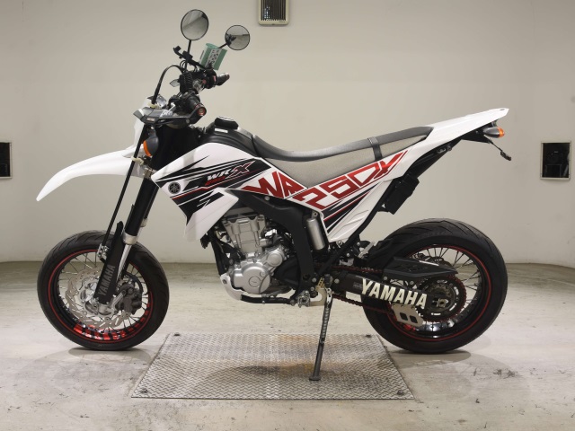 Yamaha WR250X — фото 2