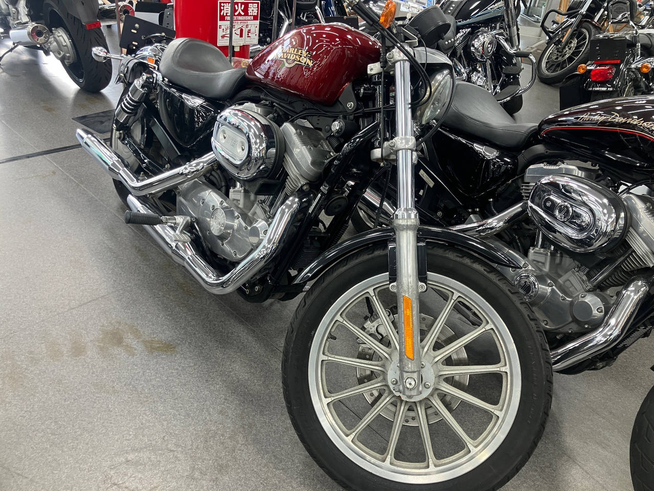 HD SPORTSTER XL883