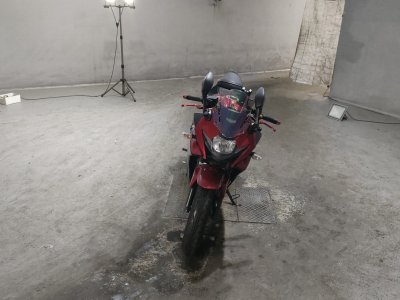 Suzuki GSX250R — фото 3