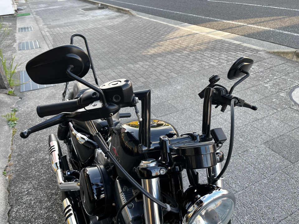 HD SPORTSTER FORTY-EIGHT XL1200X — фото 6
