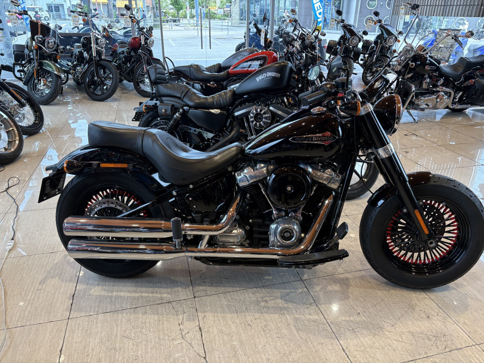 Harley-Davidson SLIM FLSL1750