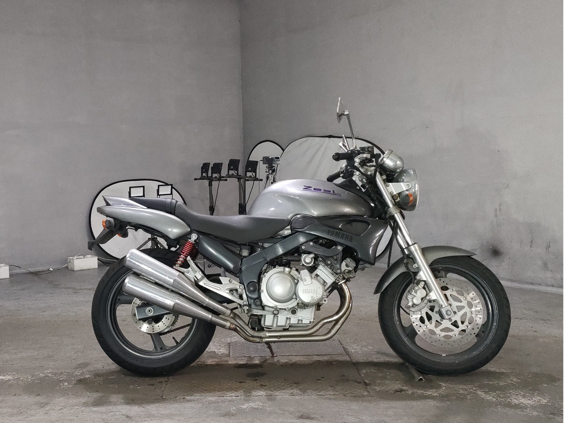 Yamaha ZEAL FZX250