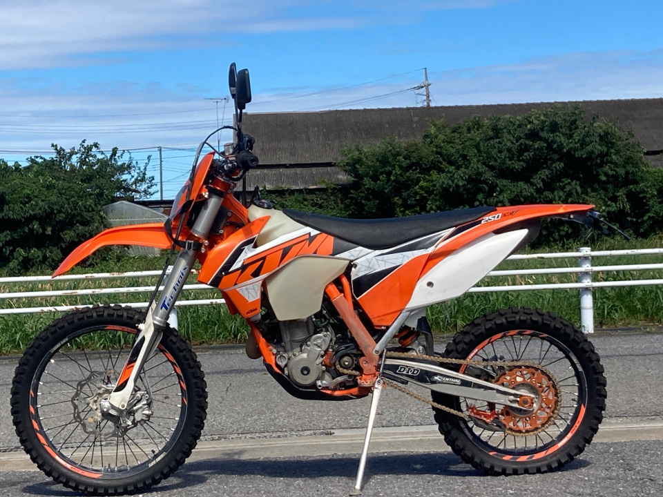 KTM 250EXC-F 6DAYS — фото 2