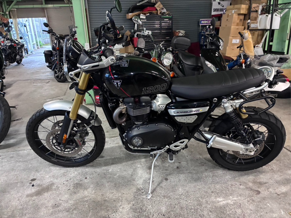 Triumph SCRAMBLER XE — фото 2