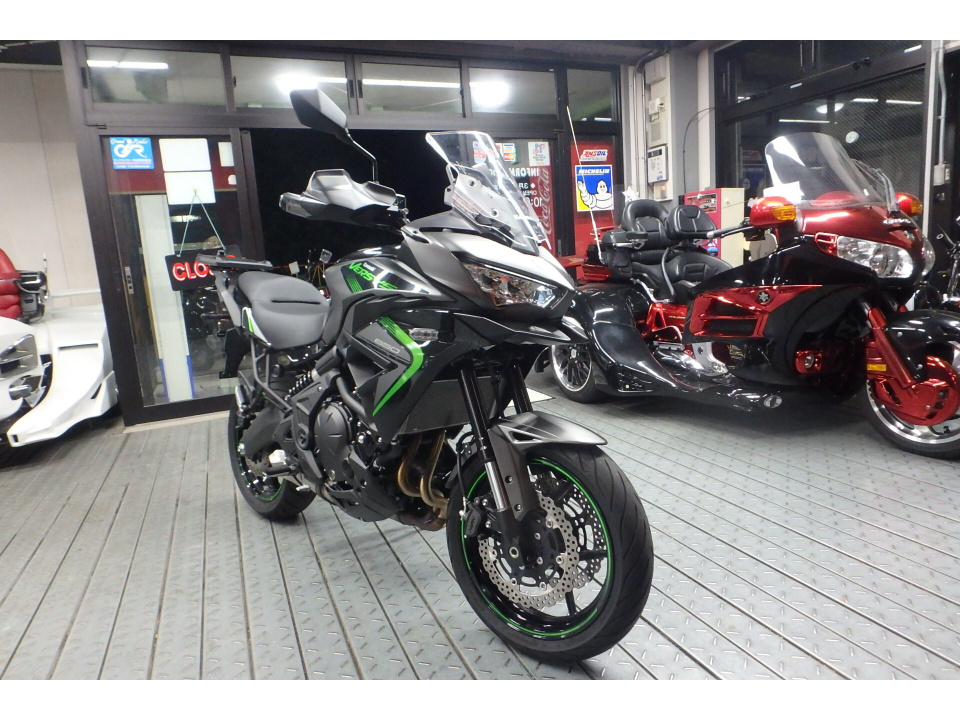 Kawasaki VERSYS 650 — фото 3