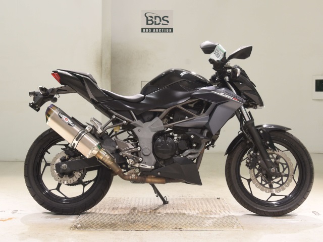 Kawasaki Z250SL