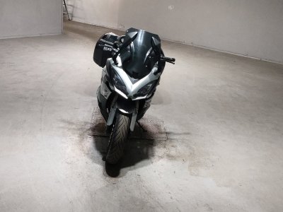 Kawasaki NINJA1000 — фото 3