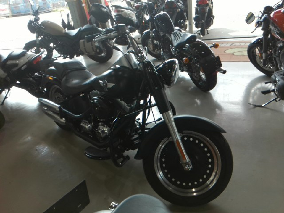 HD FATBOY FLSTFB1580