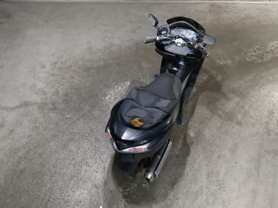 Honda FORZA Z — фото 6