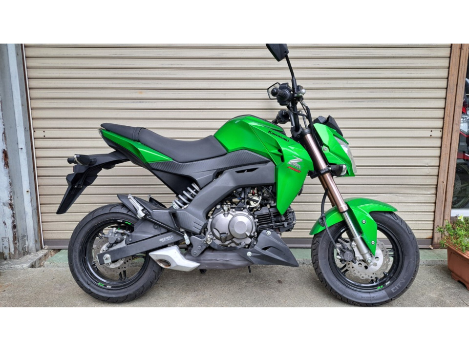 Kawasaki Z125 PRO