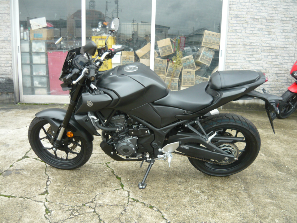 Yamaha MT-25 — фото 2