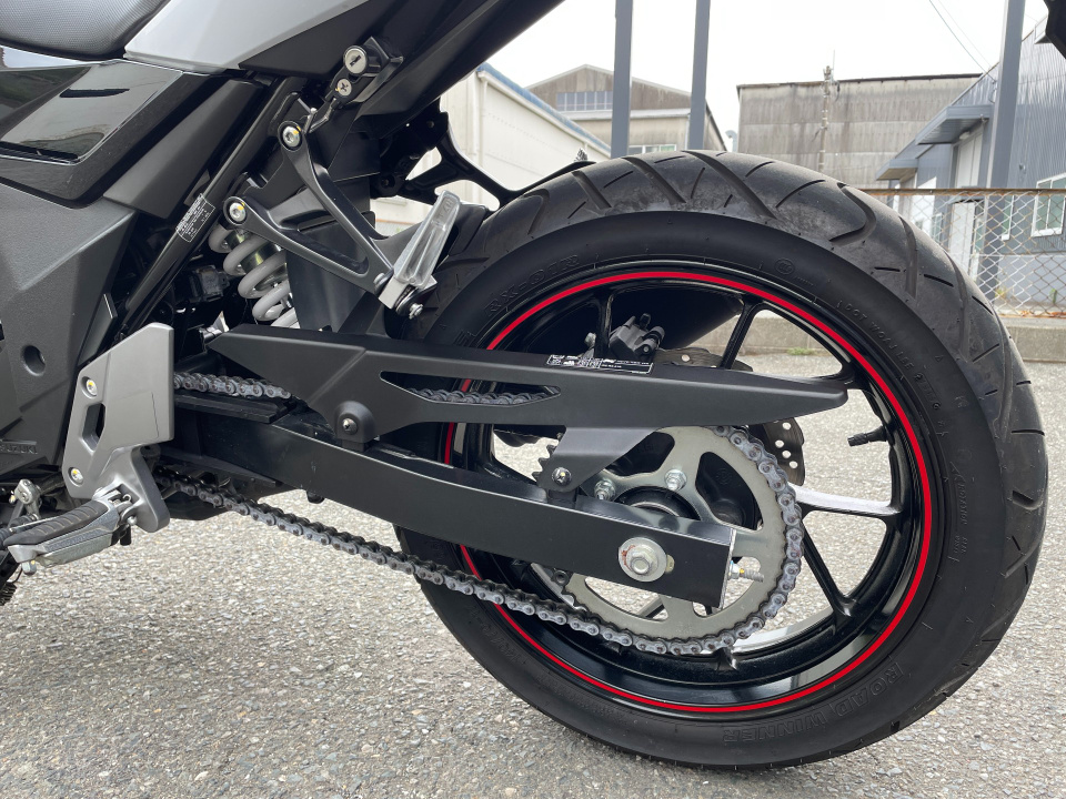 Suzuki GSX250R — фото 15