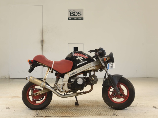 Honda MONKEY R