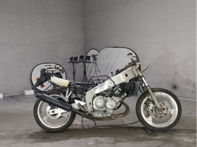 Yamaha FZR250R