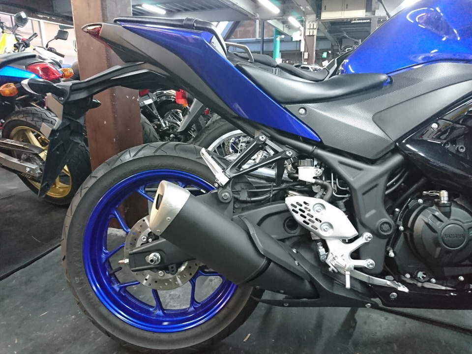 Yamaha MODEL: YZF-R25 ABS — фото 9
