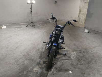 HD SPORTSTER IRON XL883N — фото 3