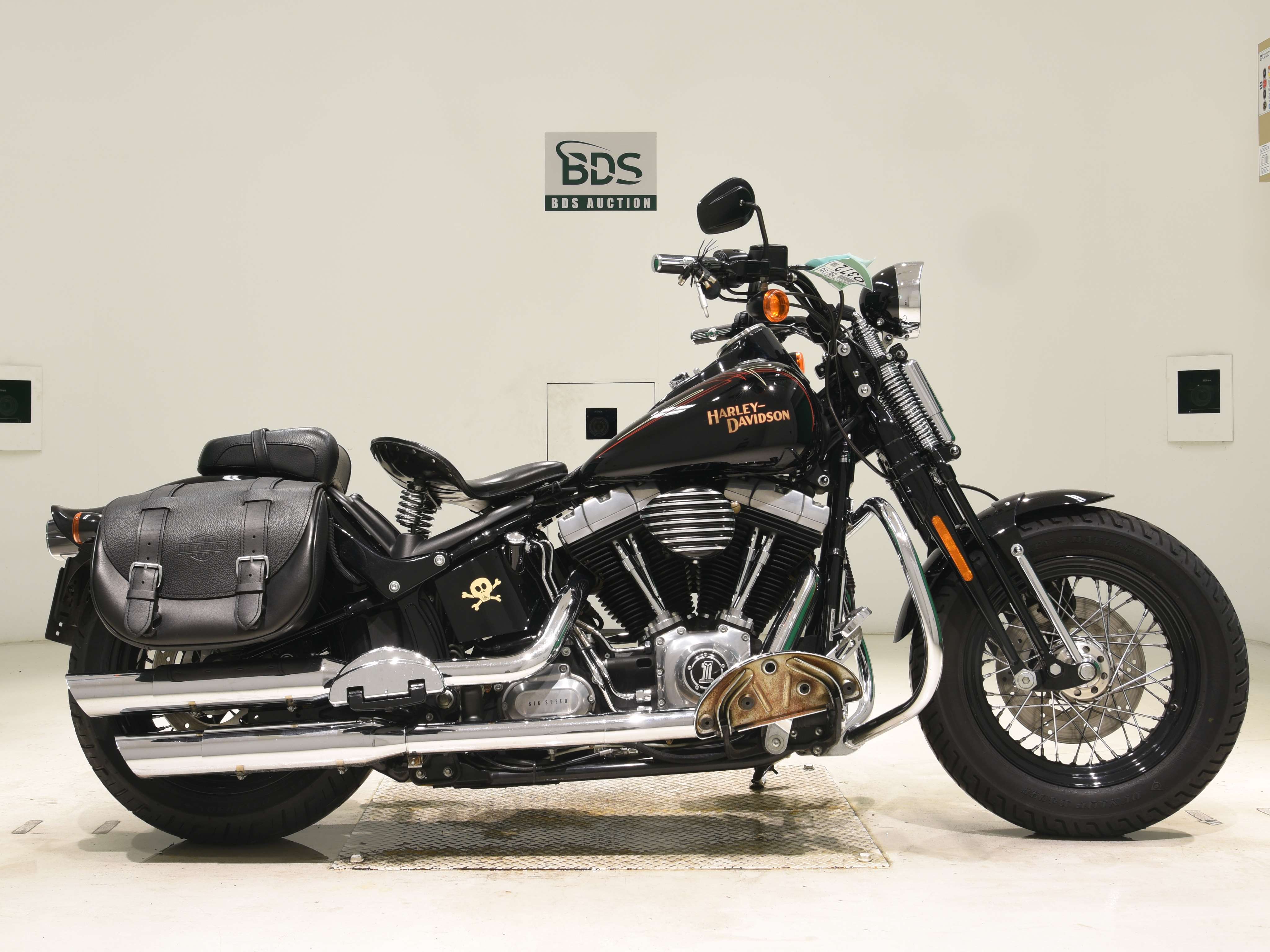 HD CROSS BONES FLSTSB1580
