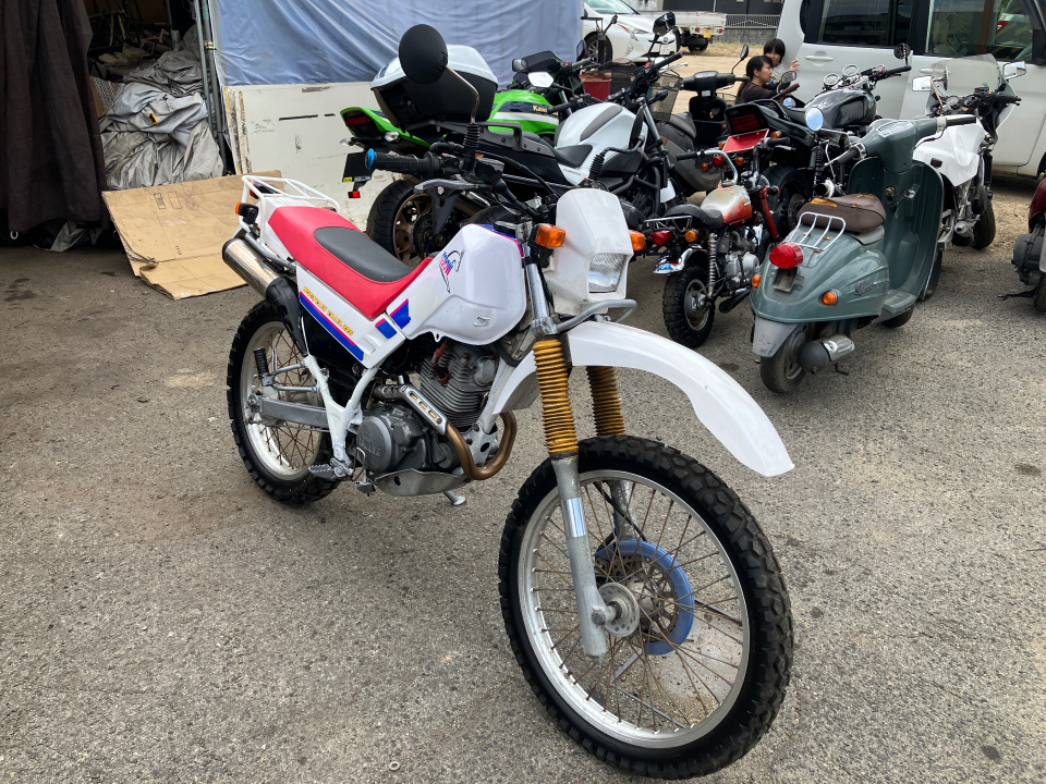 Yamaha ｾﾛｰ225ｾﾙ