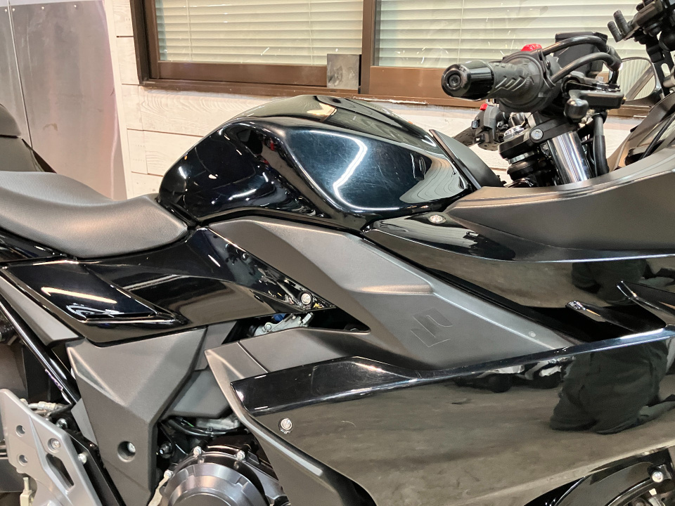 Suzuki GSX250R — фото 16