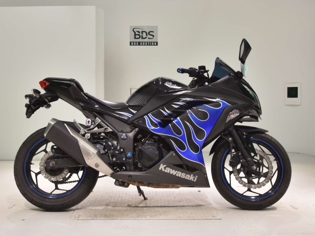 Kawasaki NINJA250