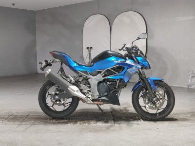 Kawasaki Z250SL