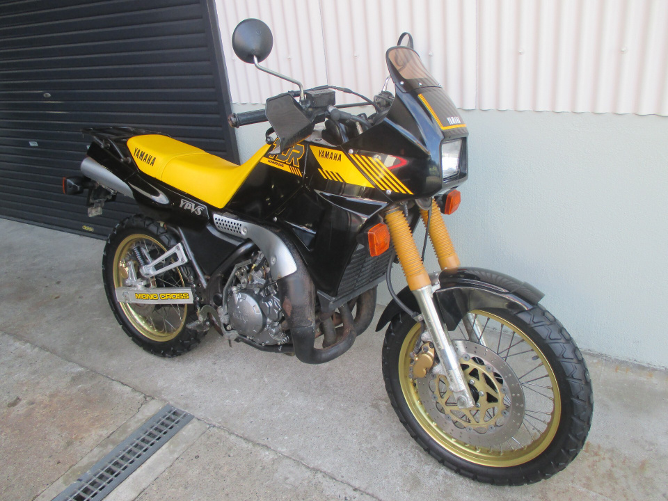 Yamaha TDR250 — фото 6