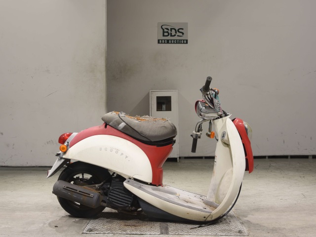 Honda SCOOPY50