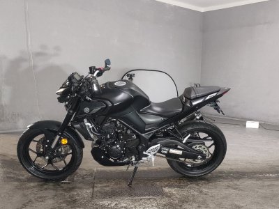 Yamaha MT-25 — фото 2