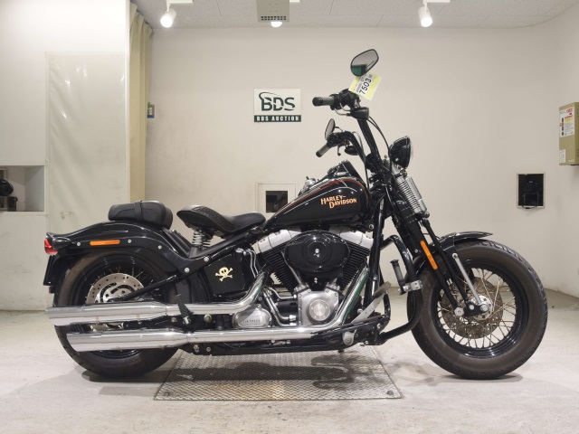 HD CROSS BONES FLSTSB1580