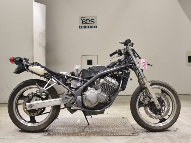 Kawasaki BALIUS ZR250