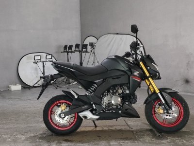 Kawasaki Z125 PRO
