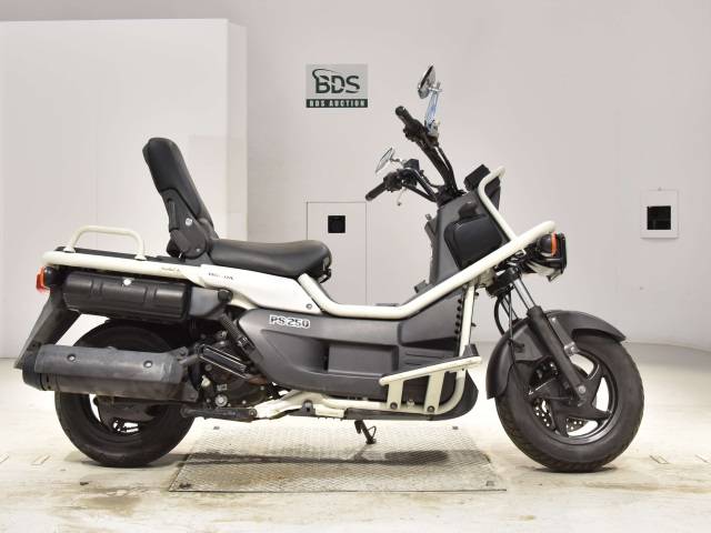 0024] Honda PS250 BIG RUCKUS - MF09-1000365