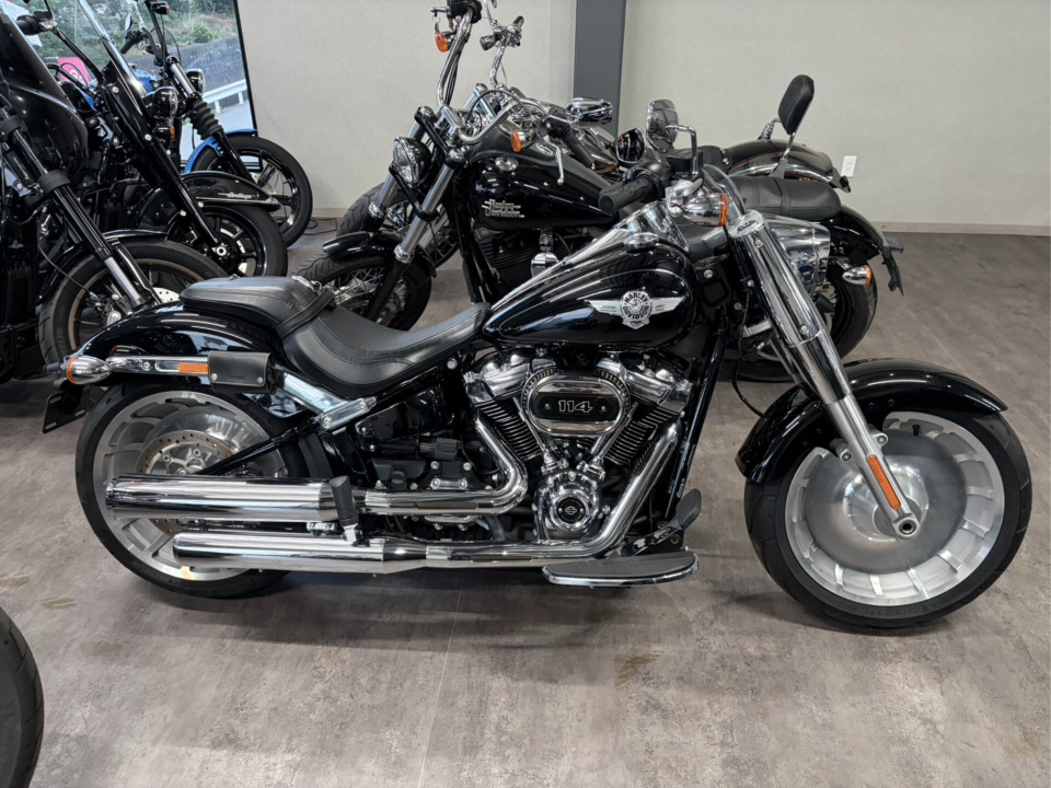 Harley-Davidson FLFB S