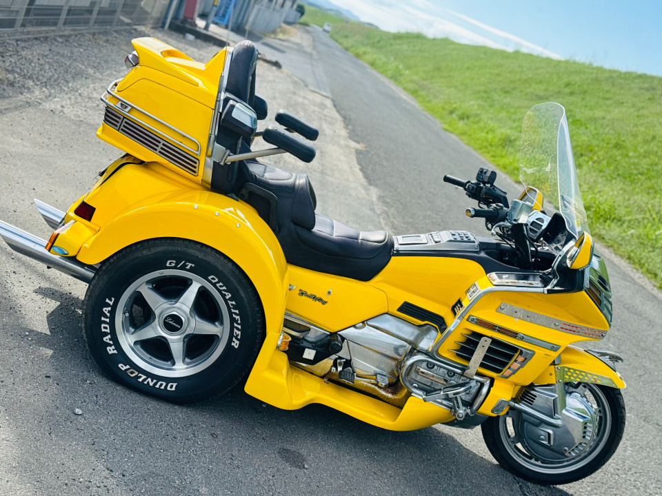 Honda GL1500 TRIKE — фото 17
