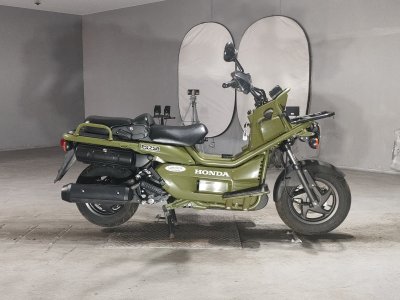 Honda PS250 BIG RUCKUS
